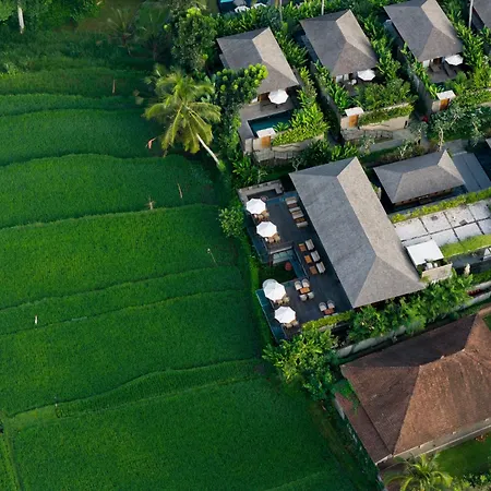 Kappa Senses Ubud
